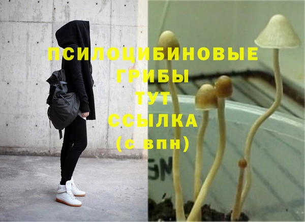 mix Дмитриев